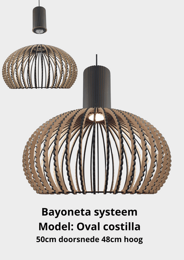 Bayoneta systeem: